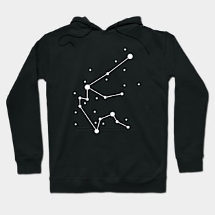 Acquarius Zodiac Hoodie